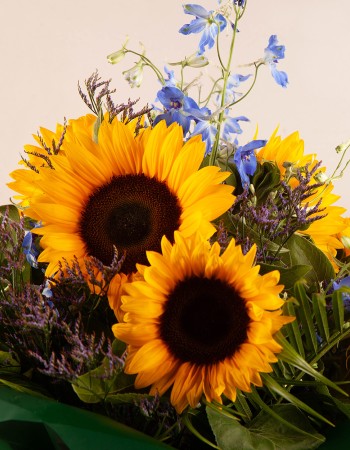 Summer Burst