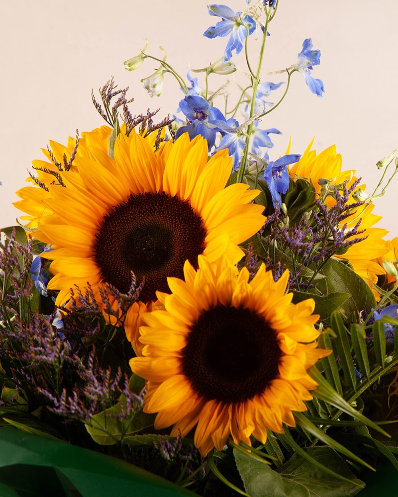 Summer Burst