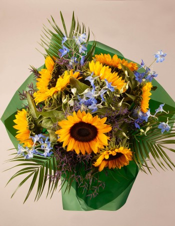 Summer Burst