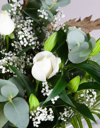 Ivory Garden