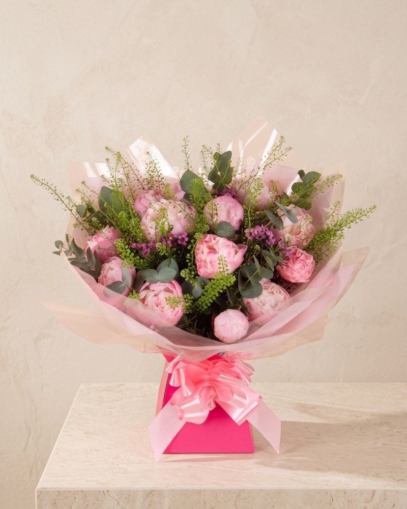 Peony Dream