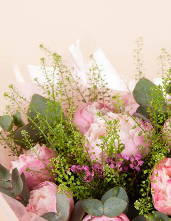 Peony Dream