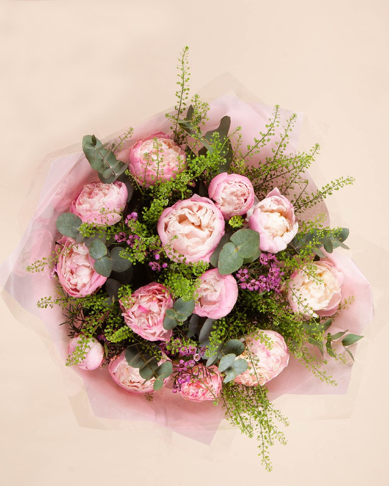 Peony Dream