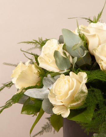 Special Moments Hatbox