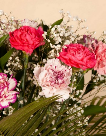 Carnations Bouquet