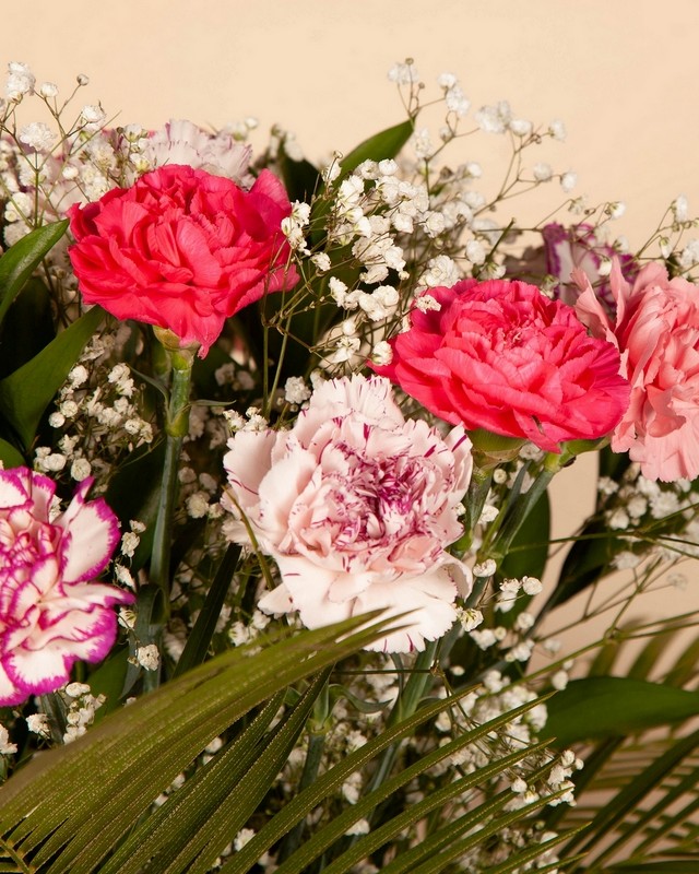 Carnations Bouquet