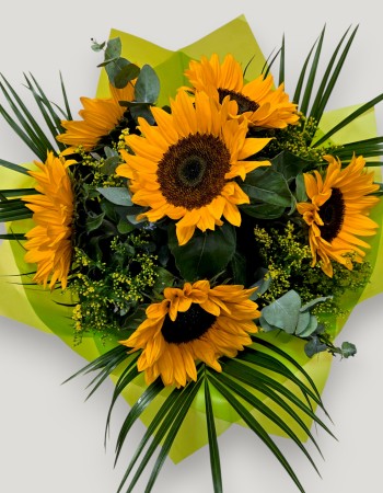 Sunflower Splash