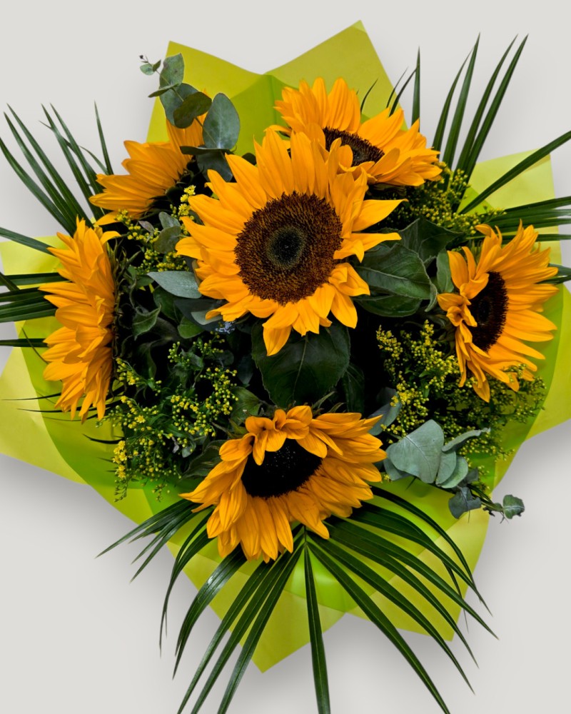 Sunflower Splash