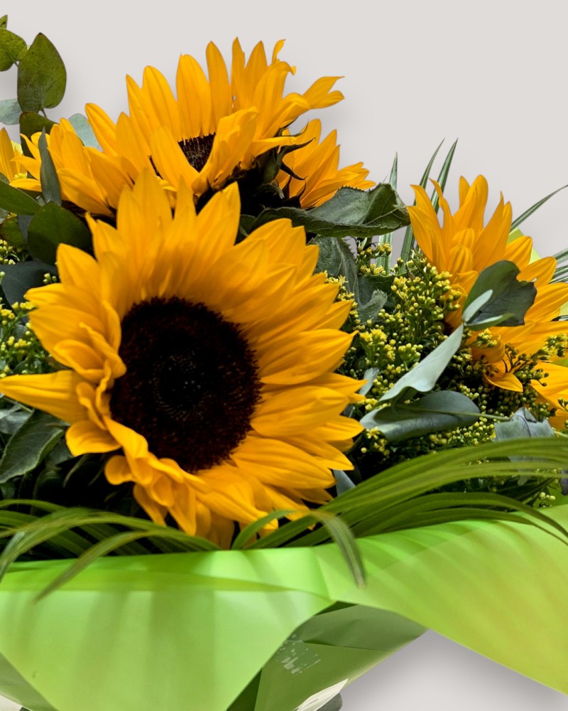 Sunflower Splash