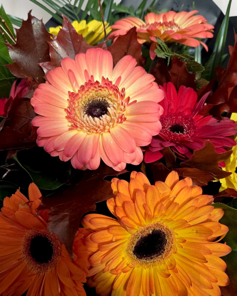 Autumnal Glow