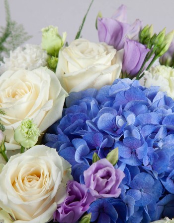 Blue Beauty