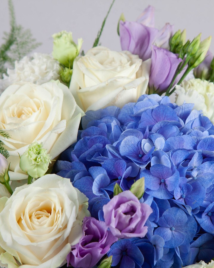 Blue Beauty