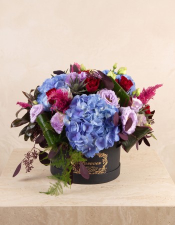 Blue Hatbox