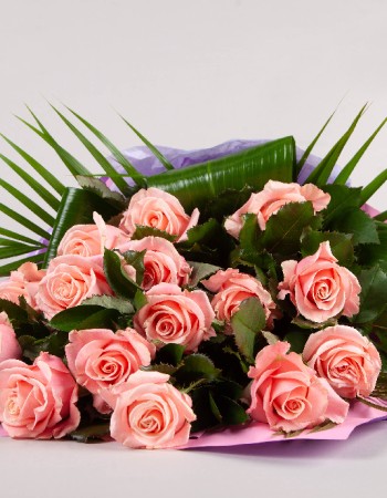 Sympathy Sheaf