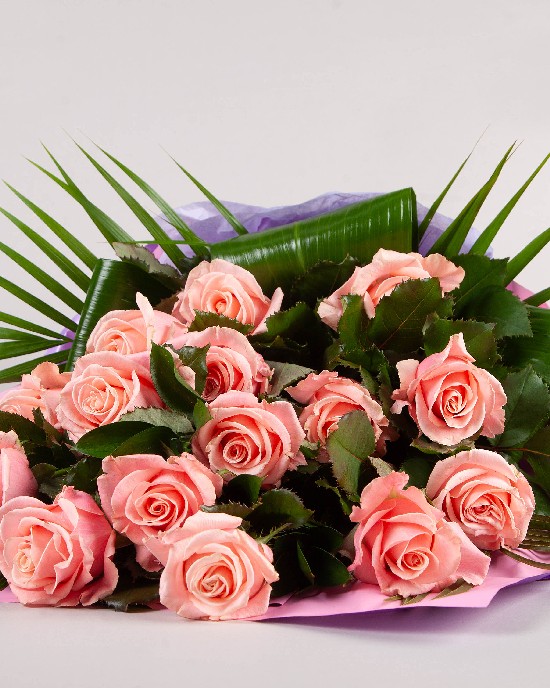 Sympathy Sheaf