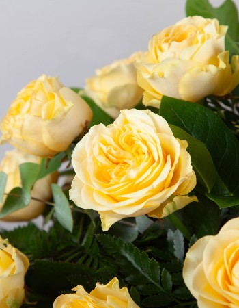 Yellow Casket Spray