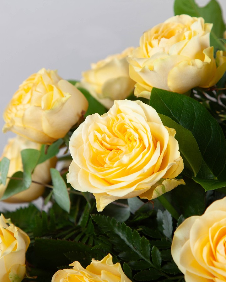 Yellow Casket Spray