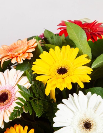 Colourful Casket Spray