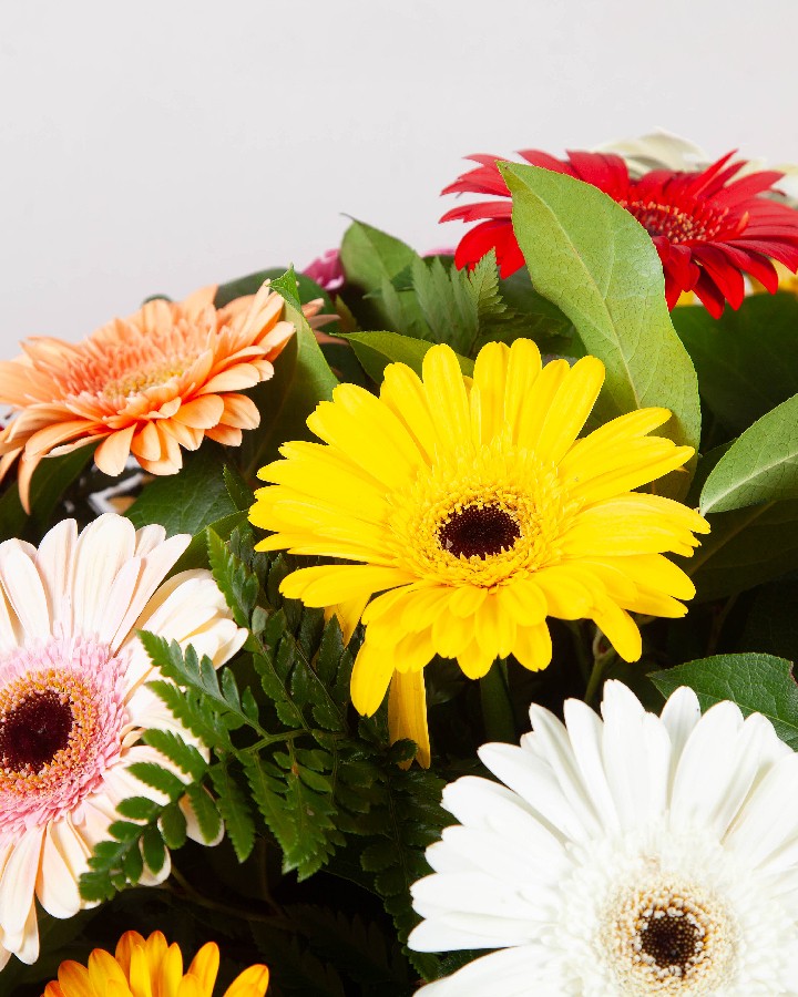 Colourful Casket Spray