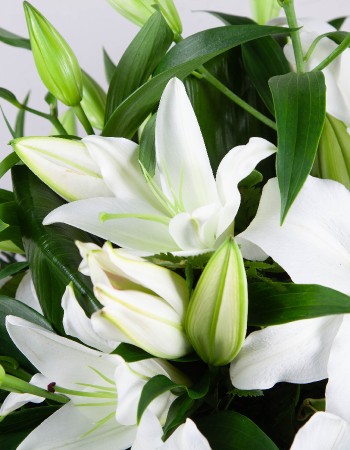Lily Casket Spray
