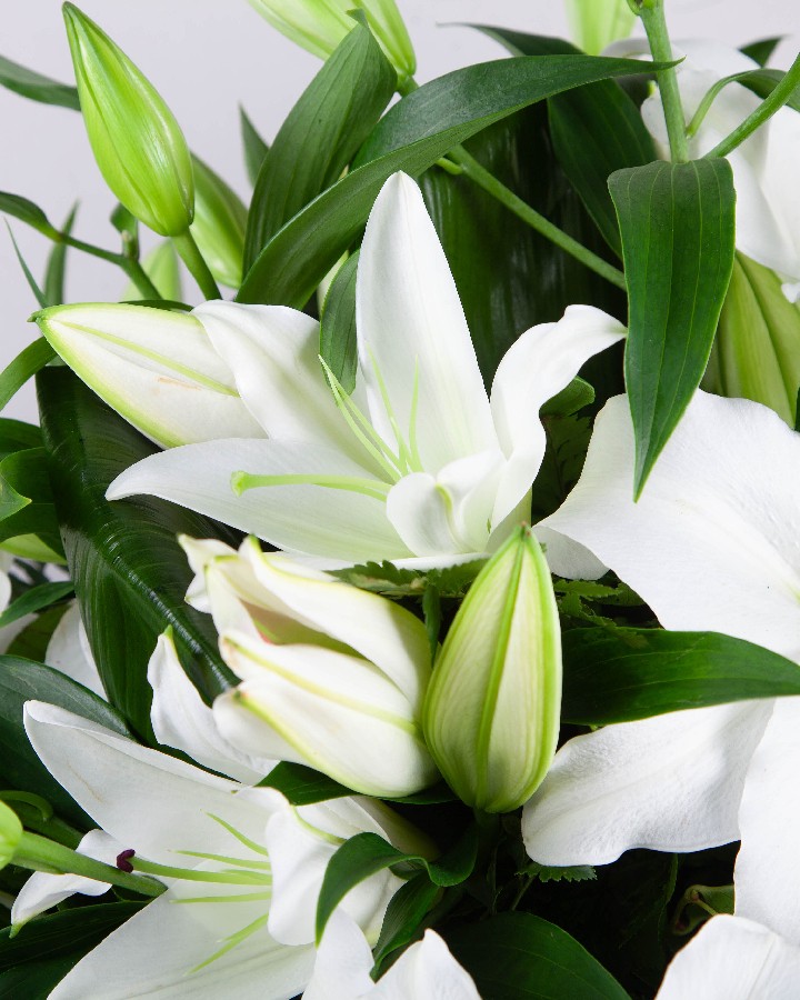 Lily Casket Spray