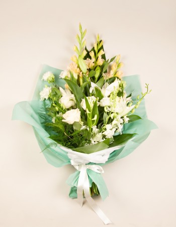 Sympathy Sheaf