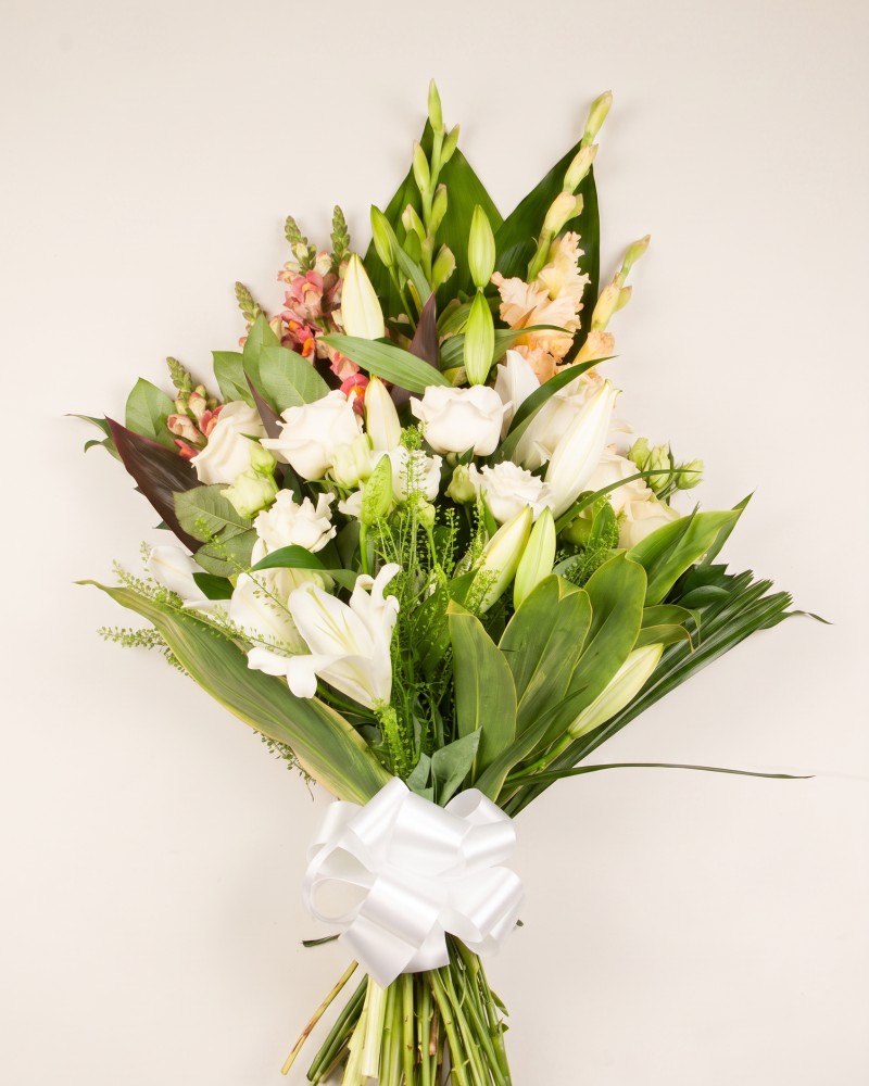 Sympathy Sheaf