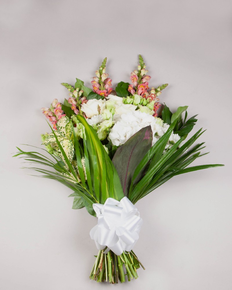 Sympathy Sheaf