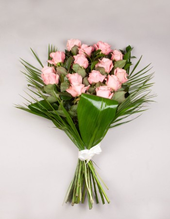 Sympathy Sheaf