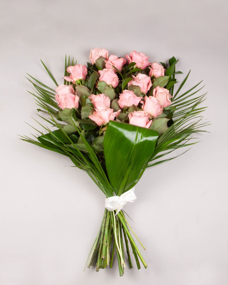 Sympathy Sheaf