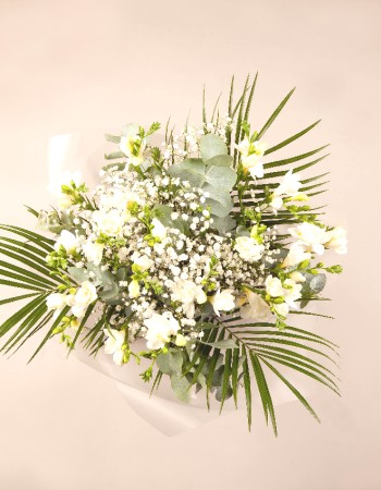 Evergreen Hope
