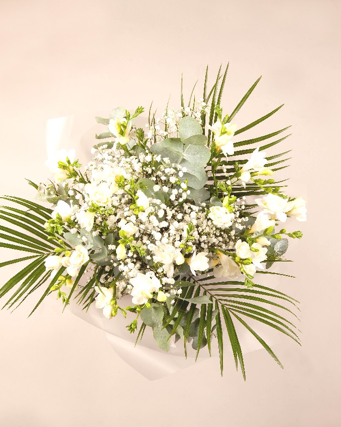 Evergreen Hope