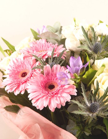 Botanical Harmony