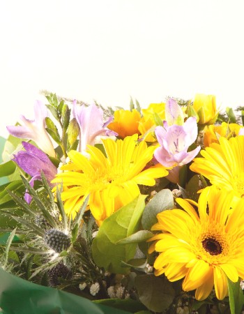 Blooming Delight