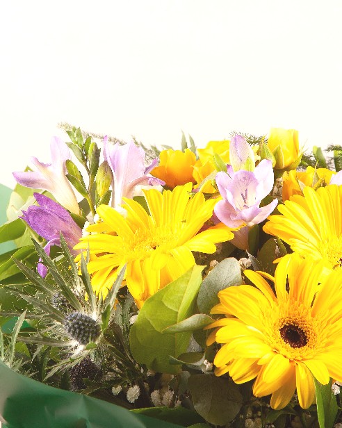 Blooming Delight