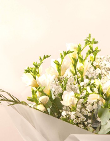 Evergreen Hope