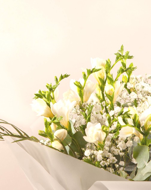 Evergreen Hope