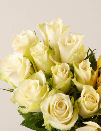 White & Yellow Heart
