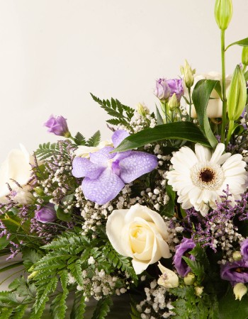 Sympathy Spray Purple