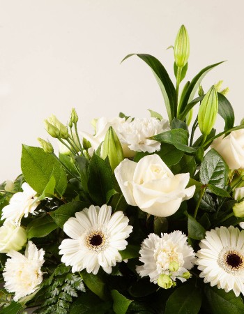 Sympathy Spray White