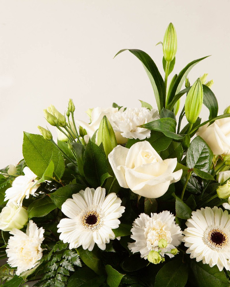 Sympathy Spray White