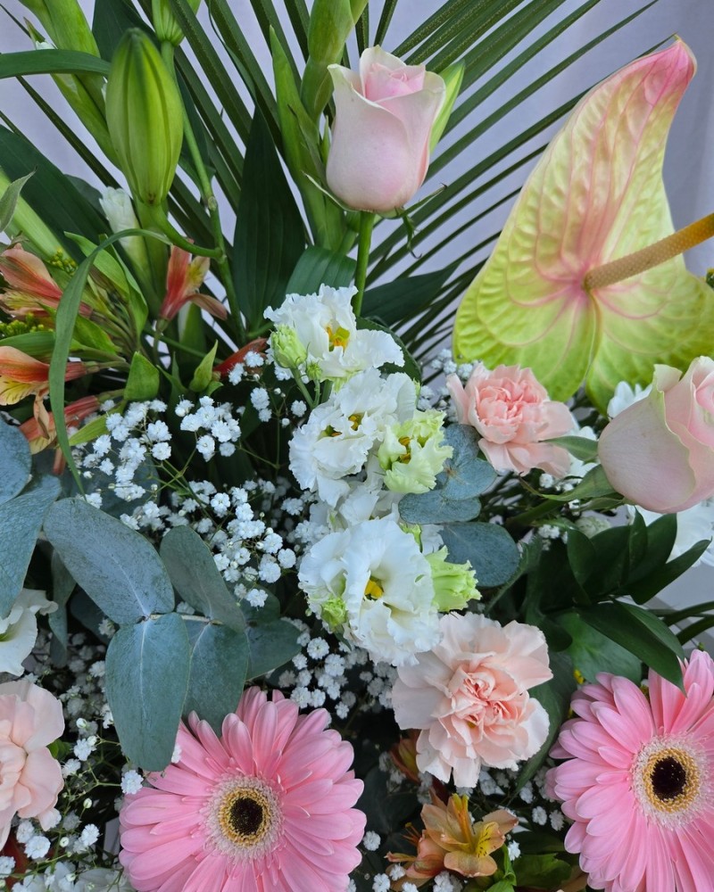 Petal Reverie