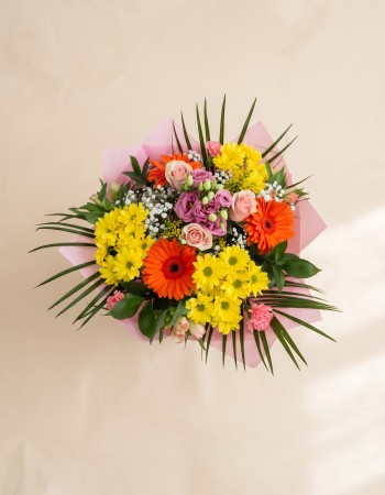 Joyful Bloom