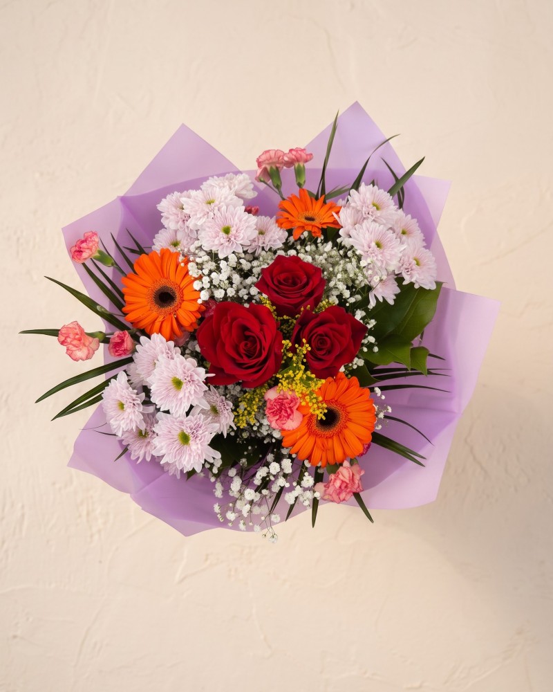 Coral Cheer