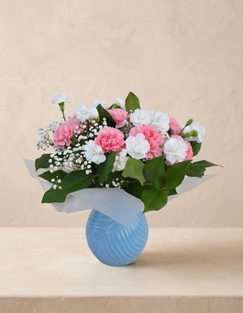 Carnation Mist