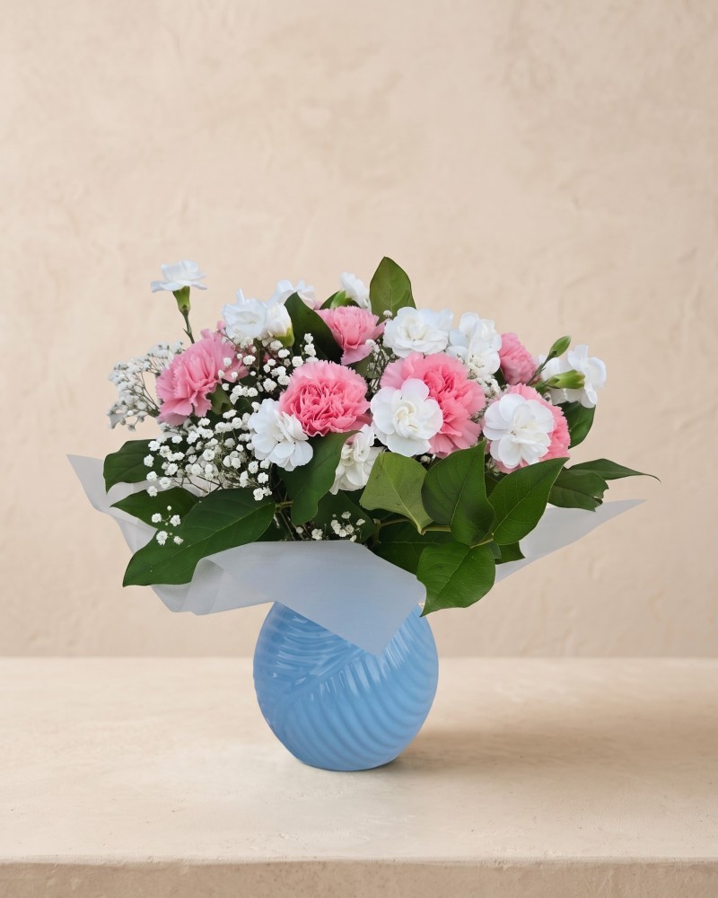 Carnation Mist