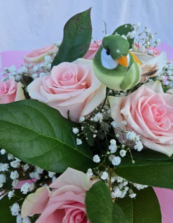 Rosy Wishes