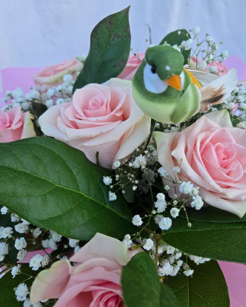 Rosy Wishes