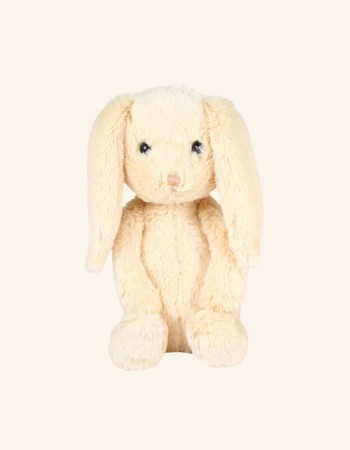 Bunny Rabbit