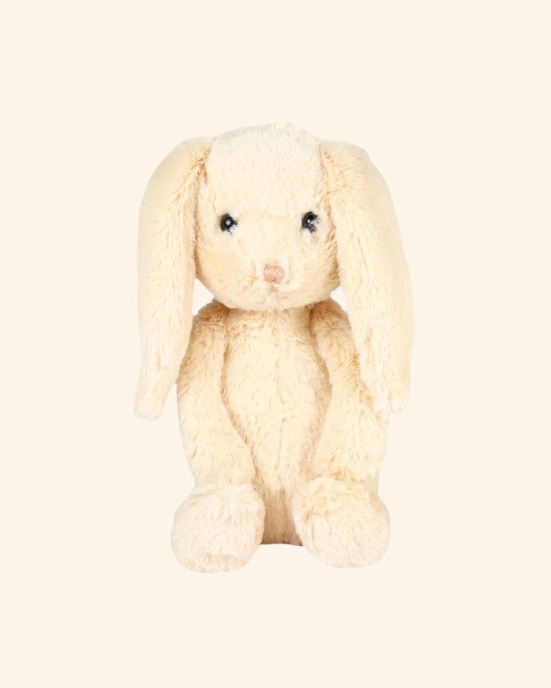 Bunny Rabbit